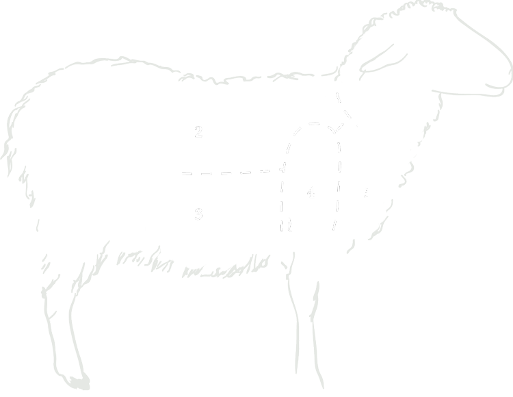 carne de ovino