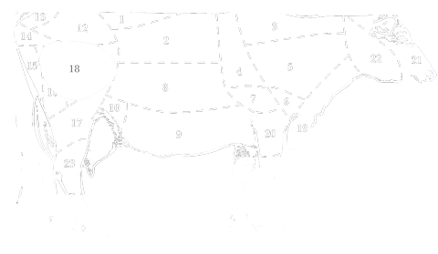 carne de vacuno